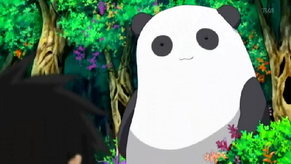 Panda1